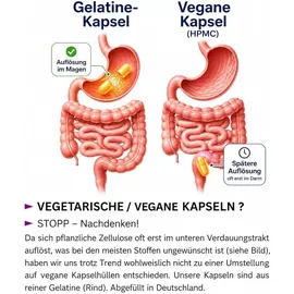 VitalLife Calcium Magnesium Citrat Komplex Kapseln 180 St.