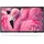Philips 43HFL4014/12 43" LED Professional TV