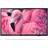 43HFL4014/12 43" LED Professional TV