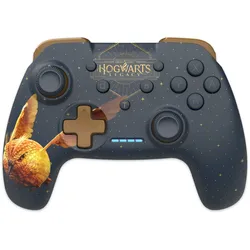 Hogwarts Legacy Goldener Schnatz