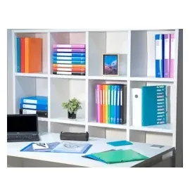 Exacompta OPAK Präsentationsmappe 100 Taschen Orange