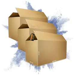 PROREGAL 3x Versandkarton 2-wellig | LxBxH 1200 x 600 x 600 mm | Mit Höhenriller & Belastbar bis 30 kg | Faltkarton Karton Paket für Versand mit DHL