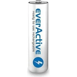 Everactive AA 1900 mAh 4 St.