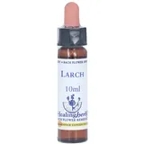 Leitner Lifecare GmbH Bachblüten Larch Healing Herbs