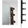 Paulmann Regula II 4x40 W dimmbar Schwarz 7,5 cm