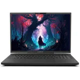 Captiva Highend Gaming I81-506 17,3'' Core i9-14900HX 32 GB RAM 2 TB SSD RTX 4080