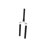 RockShox Krone/Standr.-Einheit Pike DA 27 B15x110 46off-set,taper,weiß.-Pike B1 (2018+)