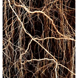 YODEYMA Metal Sport Eau de Parfum 15 ml