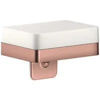 Hansgrohe Axor Universal Softsquare Seifenschale mit Ablage, Glas, brushed
