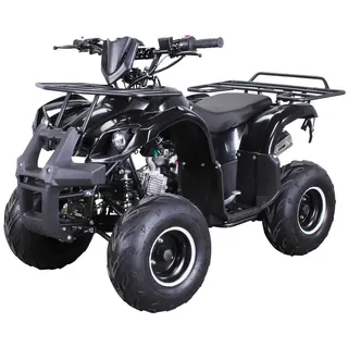 ACTIONBIKES MOTORS S-8 Farmer 125 cc Motor Miniquad 125 ccm ATV Not-Aus-Leine, Automatik Alarmanlage, Scheibenbremse (Schwarz)