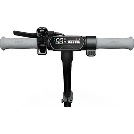 NINEBOT Segway-Ninebot F20 D E-Scooter (10 Zoll, Schwarz)