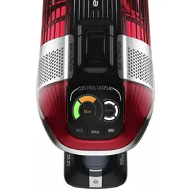 Rowenta X-Force Flex 11.60 RH9829