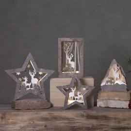 Star Trading LED-Dekostern Fauna 24 x 25 cm