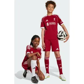 adidas FC Liverpool Heimshorts 2025/26 rot Kinder Gr. 128