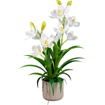 Creativ green Kunstorchidee CREATIV GREEN "Orchidee Cymbidie", weiß, H:58cm, Kunstpflanzen, mit traumhaft schönen Blüten
