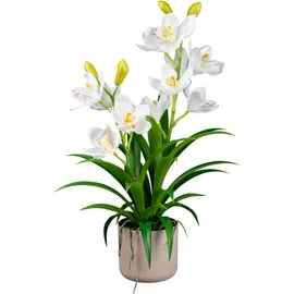 Creativ green Kunstorchidee CREATIV GREEN "Orchidee Cymbidie", weiß, H:58cm, Kunstpflanzen, mit traumhaft schönen Blüten