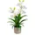 Creativ green Kunstorchidee CREATIV GREEN "Orchidee Cymbidie", weiß, H:58cm, Kunstpflanzen, mit traumhaft schönen Blüten