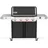 E-435W Gasgrill 2026 Schwarz