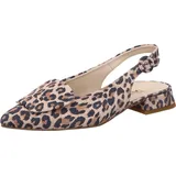 Paul Green Ballerinas in Leopard | Gr.: 36