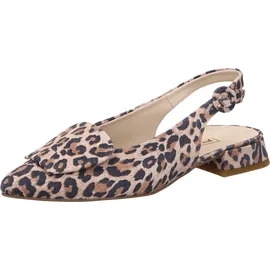 Paul Green Ballerinas in Leopard | Gr.: 36