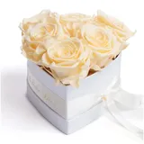 ROSEMARIE SCHULZ Heidelberg Infinity Herz Rosenbox - 15 x 10 cm 6 echte Rosen konserviert - Besondere (Beige, Medium)