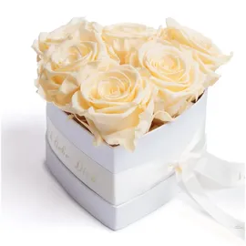 ROSEMARIE SCHULZ Heidelberg Infinity Herz Rosenbox - 15 x 10 cm 6 echte Rosen konserviert - Besondere (Beige, Medium)
