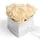 ROSEMARIE SCHULZ Heidelberg Infinity Herz Rosenbox - 15 x 10 cm 6 echte Rosen konserviert - Besondere (Beige, Medium)