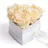 ROSEMARIE SCHULZ Heidelberg Infinity Herz Rosenbox - 15 x 10 cm 6 echte Rosen konserviert - Besondere (Beige, Medium)