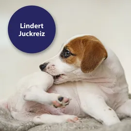 Canosept Mikro Silberspray für Hunde 75 ml