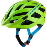 Alpina Panoma 3.0 52-57 cm Erwachsene green-blue gloss 2021