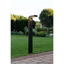 PARFORCE TRADITIONAL HUNTING Solarleuchte Aluminium, Kunststoff 820,0 cm mit Bewegungssensor schwarz