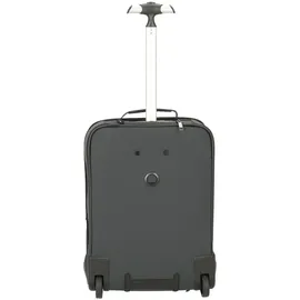 Delsey PARIS Trolley Backpack Grey (3944659-11)