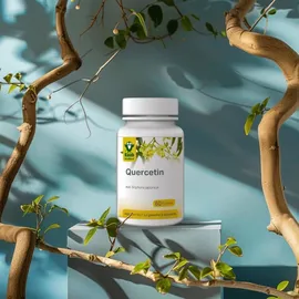 Raab Vitalfood Quercetin Kapseln 60 St.