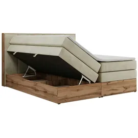 MKS Albero 1 King 180 x 200 cm H3 Beige