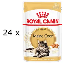 Royal Canin Maine Coon Adult in Soße 24 x 85 g