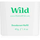 Ben & Anna Wild Mint & Aloe Vera Deo-Stick 40 g
