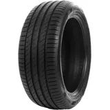 Delinte DS2 245/45 R17 99W XL