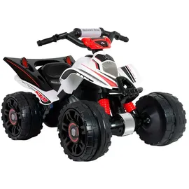 INJUSA Quad elektrisch 12V silber (12 V)