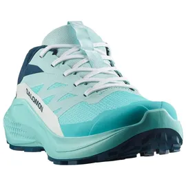 Salomon Alphaglide Damen Blau 44