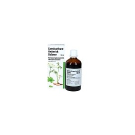 Teofarma Carminativum- Hetterich Balance Tropfen 100 ml