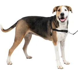 PetSafe Easy Walk Hundegeschirr Schwarz XL