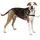 PetSafe Easy Walk Hundegeschirr Schwarz XL