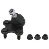REINHOCH RH03-0023