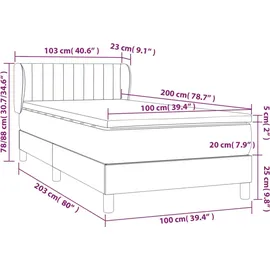 vidaXL Boxspringbett 100 x 200 cm Hellgrau