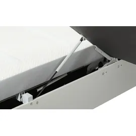 Ruf Boxspringbett ¦ braun ¦ Maße (cm): B: 197 H: 114