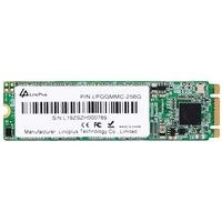 LincPlus 256GB M.2 2280 SATA SSD 3D NAND Internes SSD für Laptops,Notebooks und Tablets