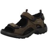 ECCO Offroad Herren nutmeg brown 43