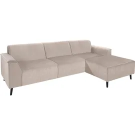 DOMO collection Ecksofa DOMO COLLECTION "Amora, inkl.