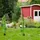 Relaxdays Rosenbogen Metall, mit Spitzen