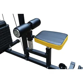 Dione LT50 - Latzugstation - Latzugturm - Homegym - Mit 50kg Trainingsgewicht